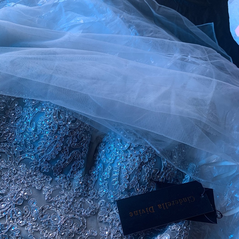 Silver dresses ! - Picture 4 of 6